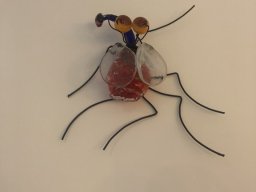 Exposición de Flyppy 2023